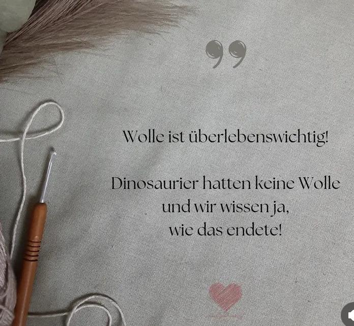 Strick-Flatlay mit Dinosaurier-Spruch über Wolle